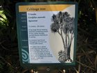2007_03_27__2060_cabbage_tree_sign_pancake_rocks_park___punakaiki_.jpg