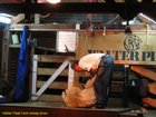 2007_03_29__2241_walter_peak_farm_sheep_show.jpg