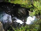 2007_03_30__2246_short_nature_trail_on_the_milford_road.jpg