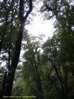2007_03_30__2250_short_nature_trail_on_the_milford_road.jpg