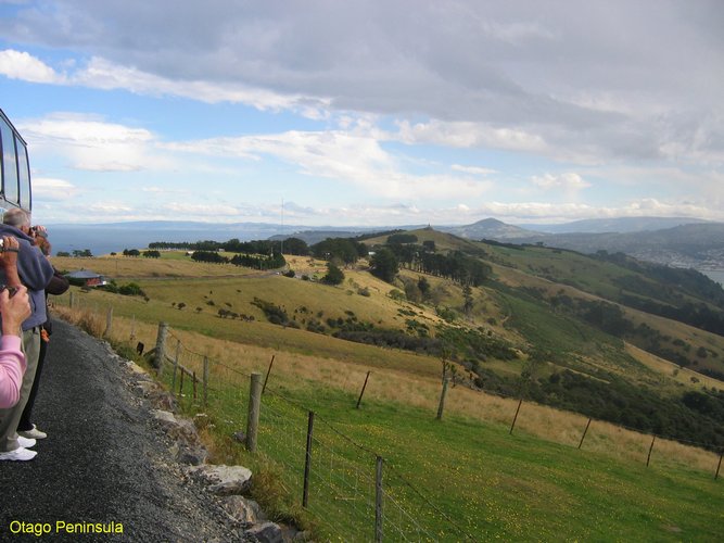 2007_03_31__2270_otago_peninsula.jpg