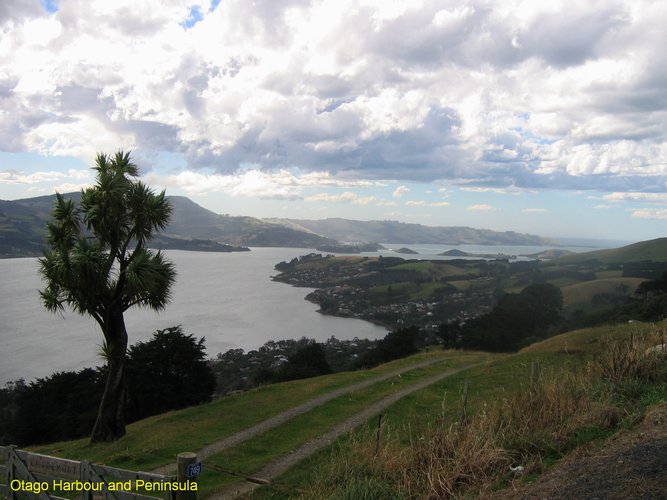 2007_03_31__2271_otago_harbour_and_peninsula.jpg
