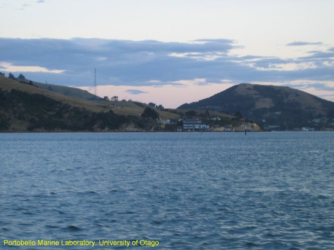 2007_03_31__2299_portobello_marine_laboratory.jpg