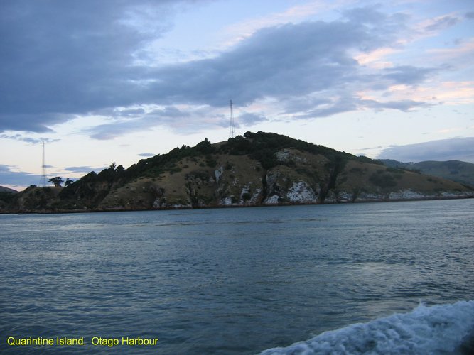 2007_03_31__2300_quarintine_island___otago_harbour.jpg