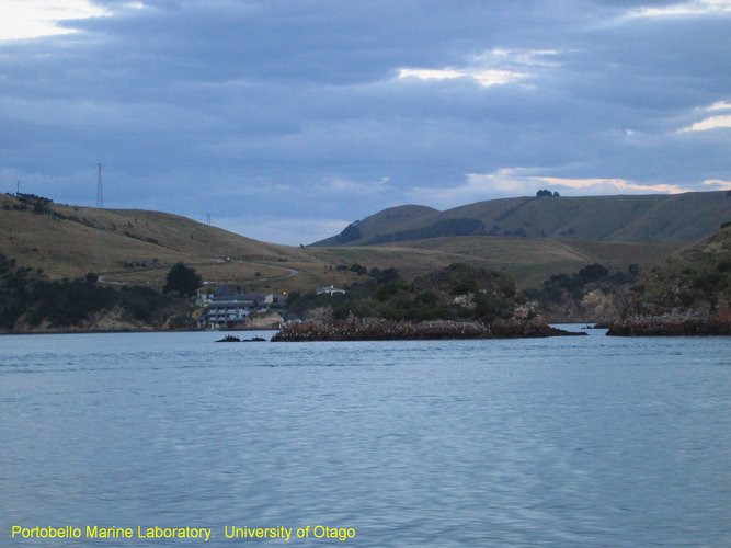 2007_03_31__2301_portobello_marine_laboratory.jpg