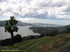 2007_03_31__2271_otago_harbour_and_peninsula.jpg