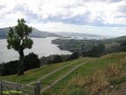 2007_03_31__2272_otago_peninsula.jpg