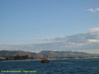 2007_03_31__2296_gulls_and_albatrosses_following_fishing_boat___otago_harbour.jpg