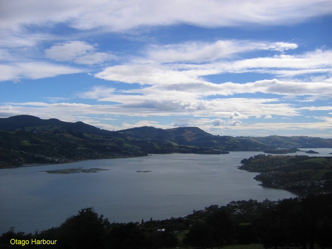2007_04_01__2308_otago_harbour.jpg