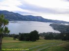 2007_04_01__2302_otago_harbour.jpg