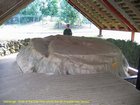 2007_04_08__2463__waitanga___slice_of_waka_tree_and_bob.jpg