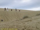 2007_04_09__2506__te_paki_dune___tracy_s_first_go.jpg