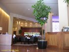 2007_04_11__2541__auckland___stamford_plaza___bar_diningroom.jpg